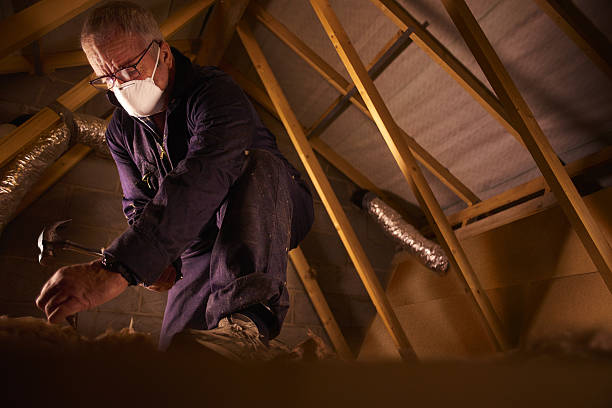 Types of Insulation We Offer in Ashland, IL